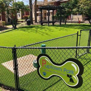 Dog park