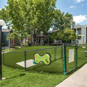 Dog park